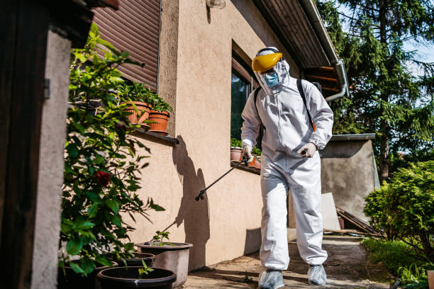 Wasp Removal Services in Neshanic Station, NJ