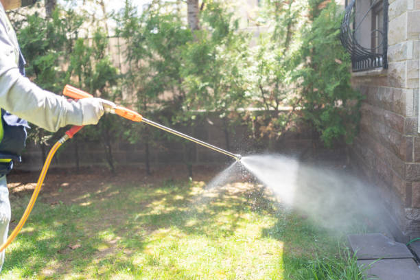 Best Mosquito Control Services  in Neshanic Station, NJ